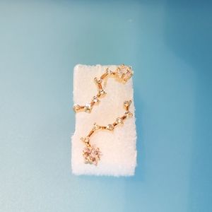 New* Delicate beautiful star ear climber earrings